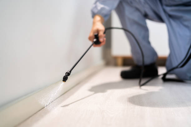 Licensed Fumigation Services service in Nebo, NC - Nex Pest Control