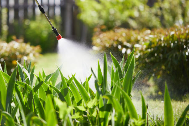 24/7 Emergency Fumigation Services experts in Nebo, NC