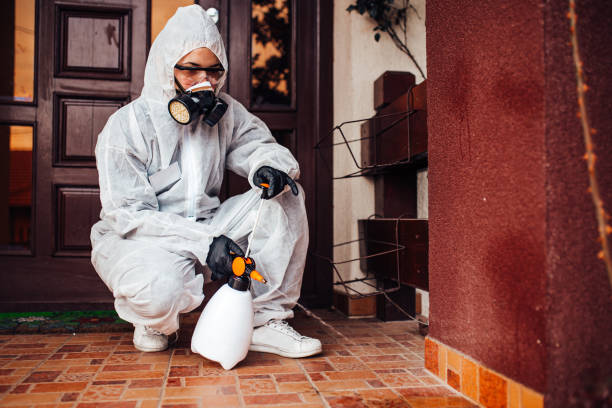 Reliable Fumigation Services contractor in Nebo, NC by Nex Pest Control