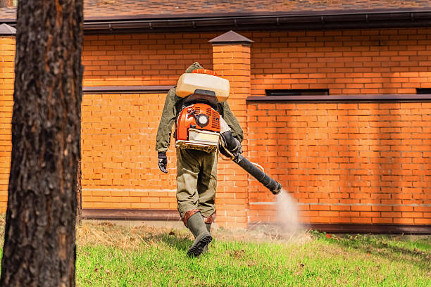 Top rated local Fumigation Services specialists in Nebo, NC